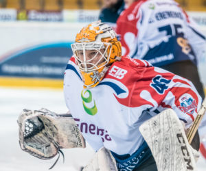 KH Energa Toruń - Lotos PKH Gdańsk, zdjęcia z Tor-Toru