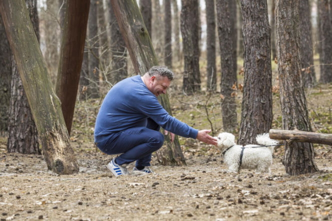 Wójcik zrzuca kilogramy po świętach