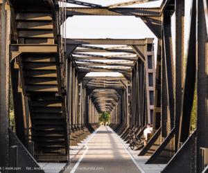 Most Europejski na Odrze w Siekierkach