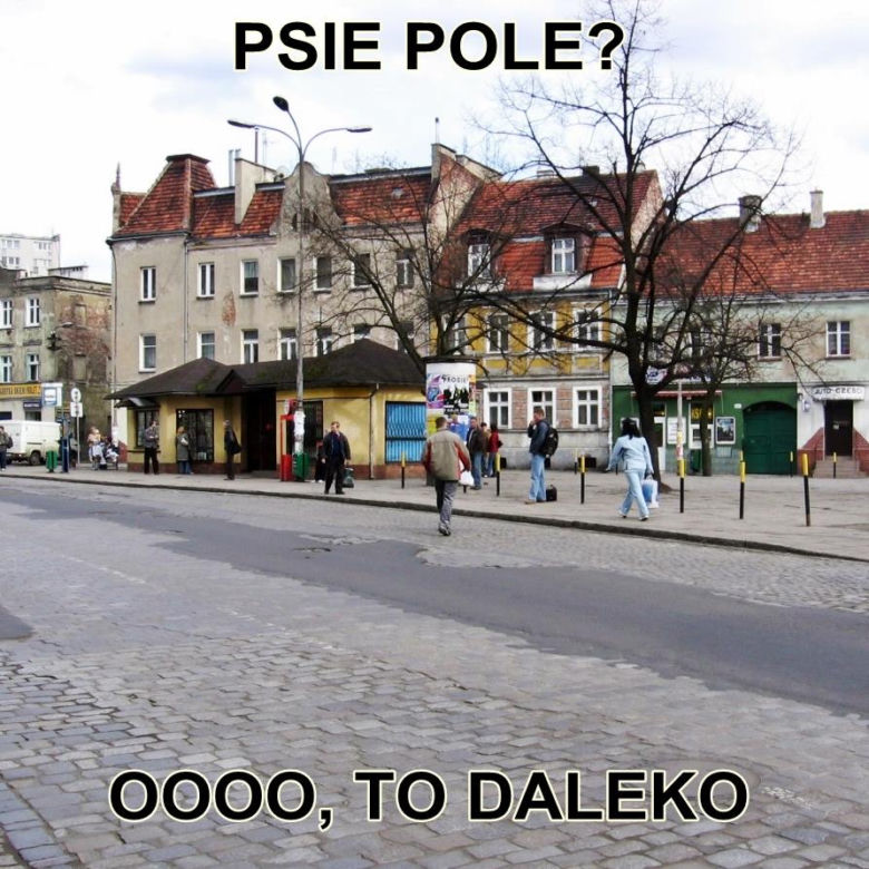 Typowy Wrocławianin