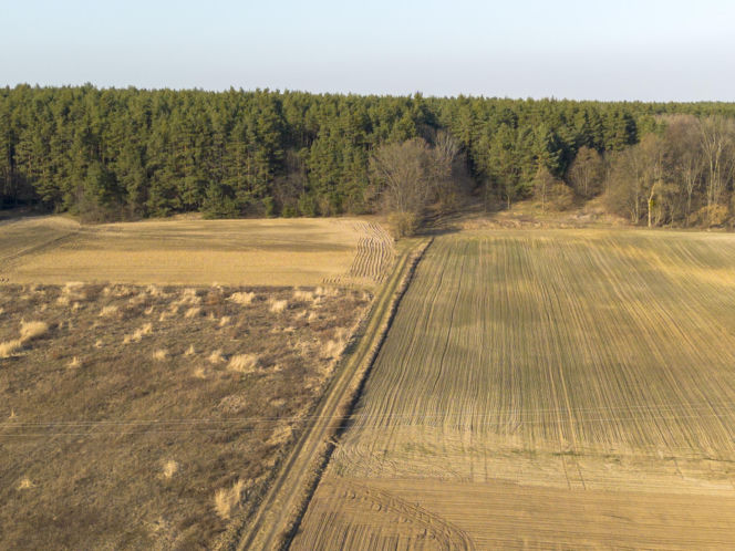 Światowa prasa pisze o śmierci Magdaleny Majtyki! Mówią o tajemnicy