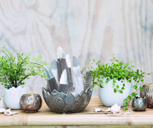 Wielkanocne dekoracje - skorupy i skorupki