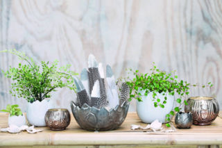 Te cudeńka szybko znikają z półek w Pepco. Hity na Wielkanoc 2026