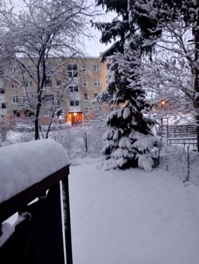 Śnieżna zima w Warszawie - zdjęcia czytelników