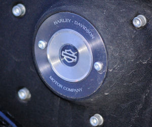 Harley-Davidson Sportster 1200 Custon CA