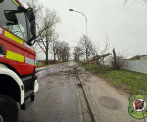 Powiat siedlecki: liczne interwencje strażaków w związku z wichurą