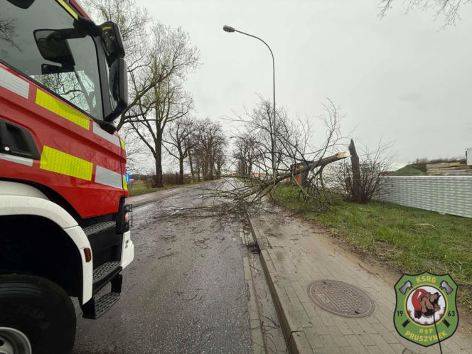 Powiat siedlecki: liczne interwencje strażaków w związku z wichurą