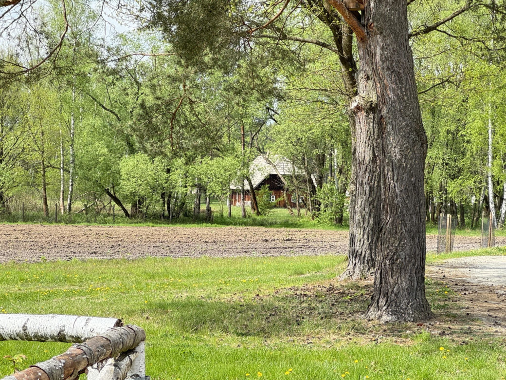 To wyjątkowe miejsce na Podkarpaciu