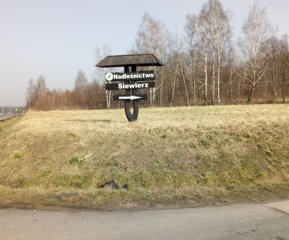 Budki lęgowe