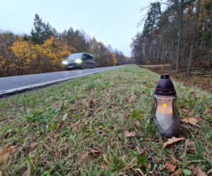 Sylwester grzybiarz