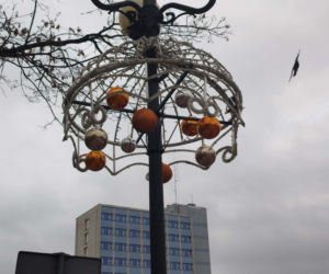 Choinka miejska Siedlce