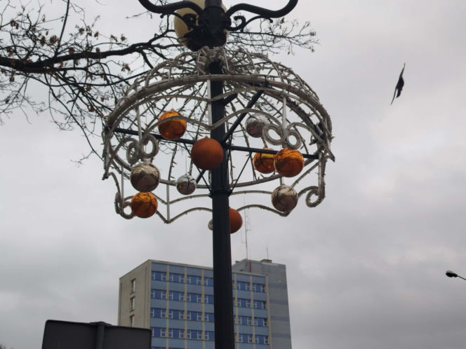 Choinka miejska Siedlce