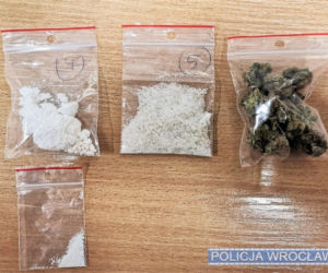 Handlarz narkotyków zatrzymany na wrocławskim Grabiszynku