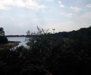 Chciała zobaczyć z bliska PIĘKNE jezioro, ale UTKNĘŁA w mule! Chwile grozy w Osadniku Gajówka