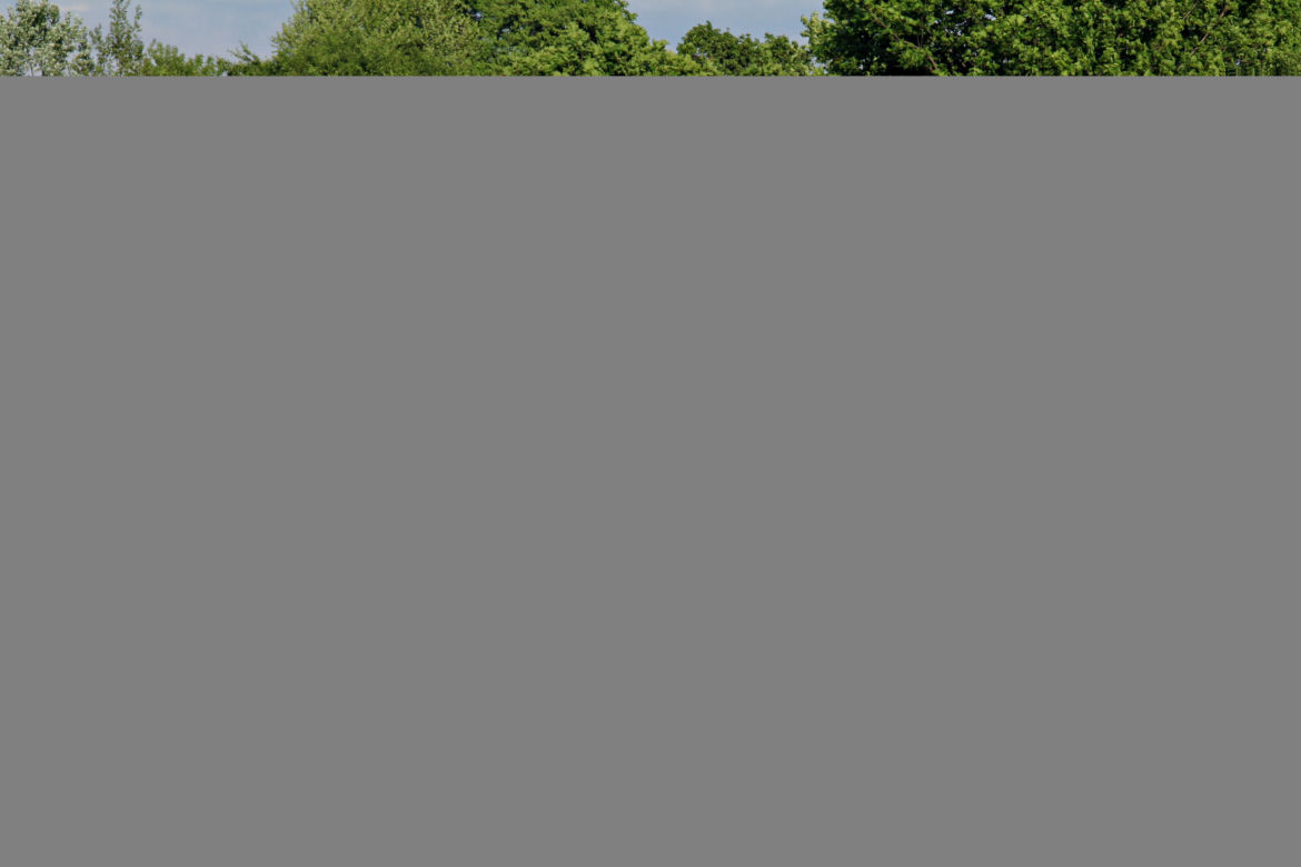 Audi A3 Sportback 1.4 TFSI e-tron