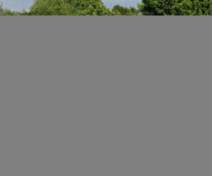 Audi A3 Sportback 1.4 TFSI e-tron