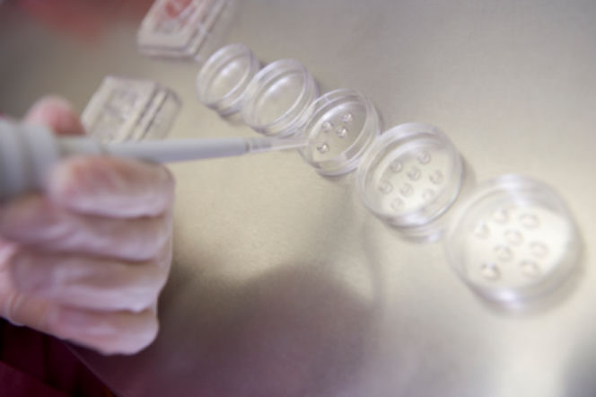 In vitro