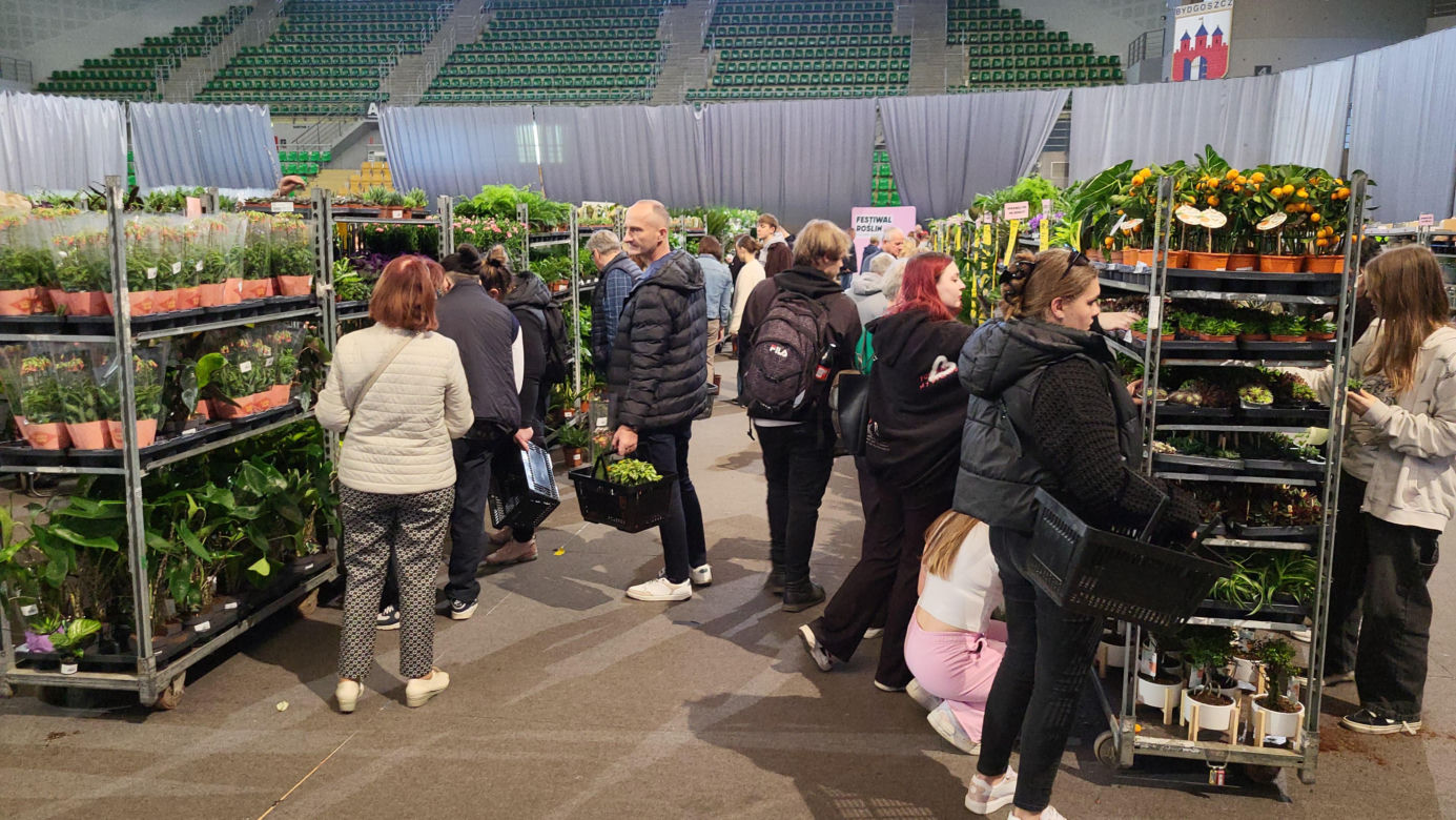 Bydgoszcz rozkwitła zielenią w "Łuczniczce". Tak było na Festiwalu Roślin