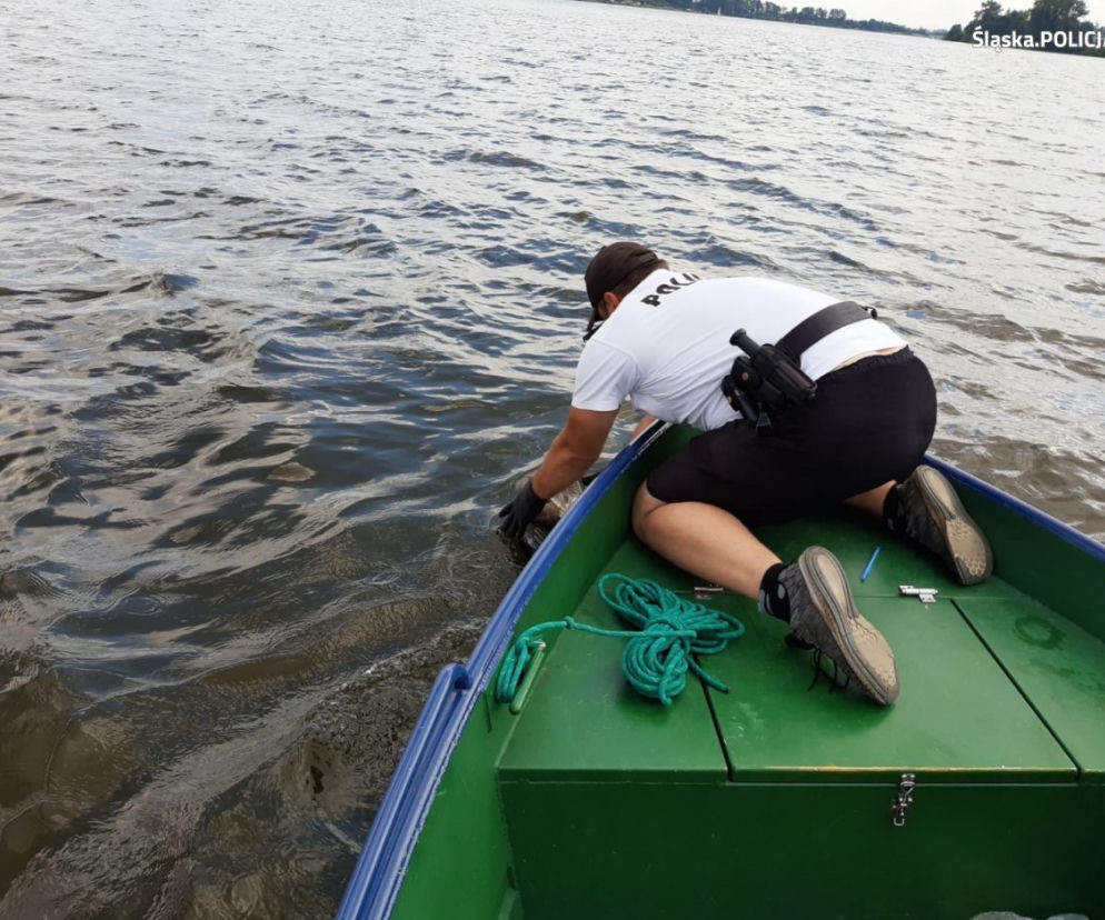 Nietypowa interwencja policjantów z Katowic. Ratowali tonącego drapieżnika