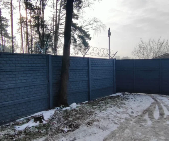 Tu trafiły psy uratowane ze schroniska w Sobolewie. Byliśmy na miejscu