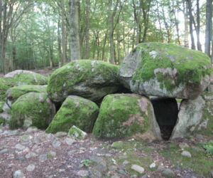 Grobowce megalityczne w Borkowie