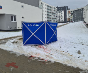 Krwawa masakra w Rzeszowie. Wołała pomocy, gdy dźgał ją nożem kuchennym. Nowe fakty [ZDJĘCIA]