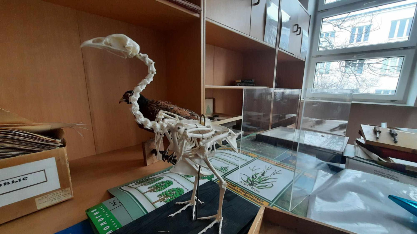 Tak wygląda przejęta od Rosji szkoła w Warszawie 