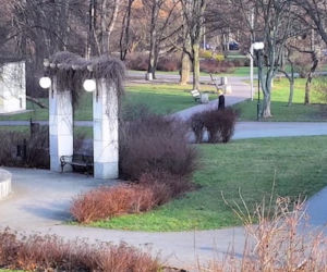 Tak wygląda widok z kamer monitoringu w Warszawie