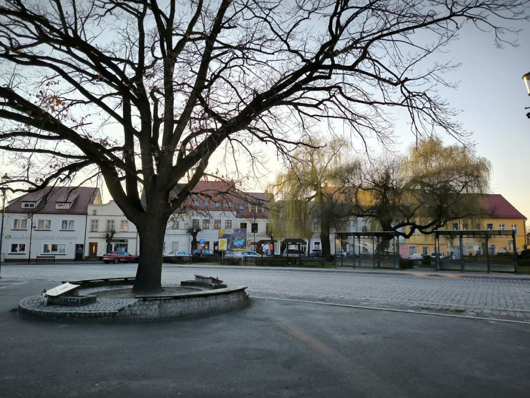 Osieczna
