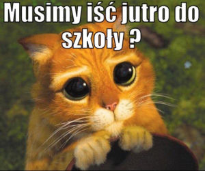 Powrót do szkoły na wesoło. Zobacz najlepsze MEMY