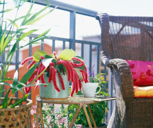 W wiaderku