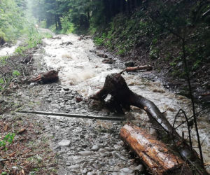 Piwniczna-Zdrój. Ulewa zamieniła drogę w potok. Ogromne zniszczenia