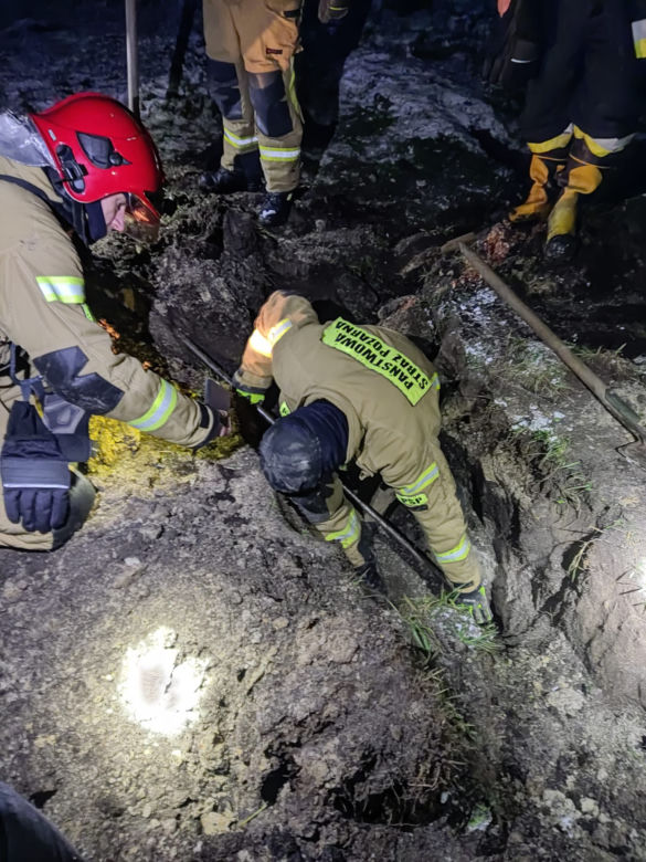 Szczeniaczki uratowane przez stowarzyszenie Zwierzoluby z Siedlec i strażaków