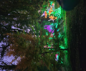 Otwarcie parku iluminacji w Poznaniu