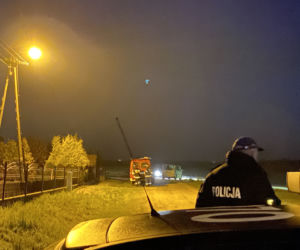 Morderstwo w Dąbrówce