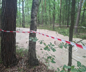 Tajemnicza maź zalała las pod Starachowicami. Policja i leśnicy badają sprawę