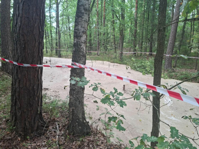 Tajemnicza maź zalała las pod Starachowicami. Policja i leśnicy badają sprawę