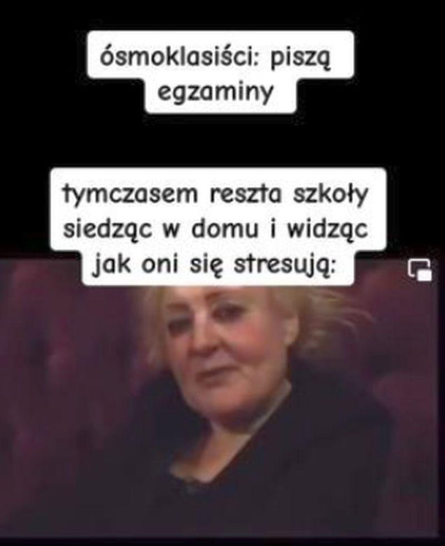 Egzamin ósmoklasisty 2024 memy! Padniesz ze śmiechu, gdy to zobaczysz [GALERIA]