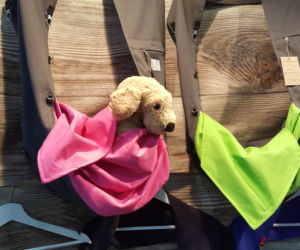 Targi PET EXPO 2019 w Bydgoszczy 