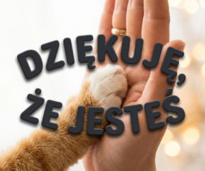 Kartki walentynkowe. Bądź moją Walentynką i kochaj mnie