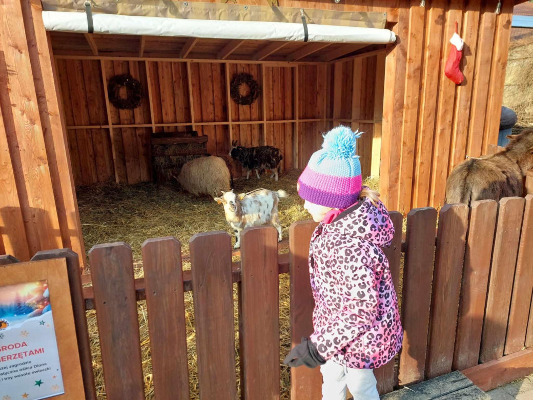 To już ostatni moment, by odwiedzić Wioskę świętego Mikołaja pod Bydgoszczą. Byliśmy tam i mamy zdjęcia