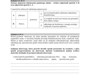 Matura 2020 ARKUSZE CKE z biologii POZIOM ROZSZERZONY 
