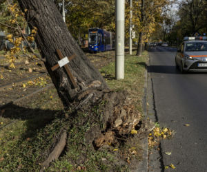 Wichury nad Polską