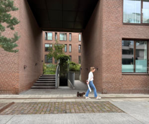 Nordhavn, wzorcowa dzielnica Kopenhagi