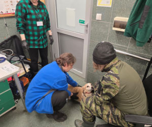 Wielka akcja w schronisku pod Radomiem. Zwierzęta pilnie szukają domów!