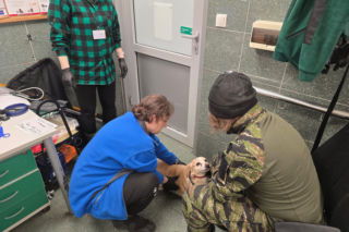 Wielka akcja w schronisku pod Radomiem. Zwierzęta pilnie szukają domów!