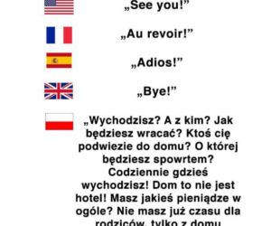 Memy z mamą w roli głównej 