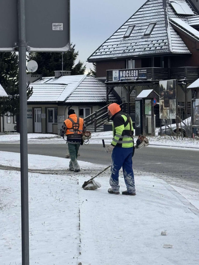 Koszą trawę w śniegu. Takie sceny tylko w Zieleńcu