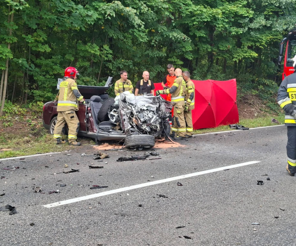 Śmiertelny wypadek w Stykowie na DK 42. Na miejscu zginął 23 letni mężczyzna