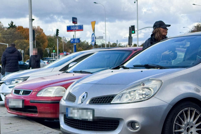 Agnieszka Fitkau-Perepeczko  na bazarku